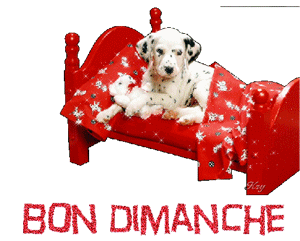 Gif animé Bon dimanche chien et chat